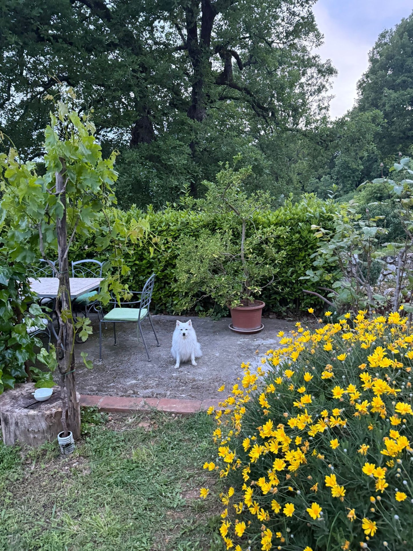 Toscana